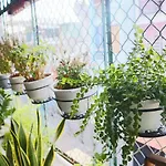 Lam House Homestay